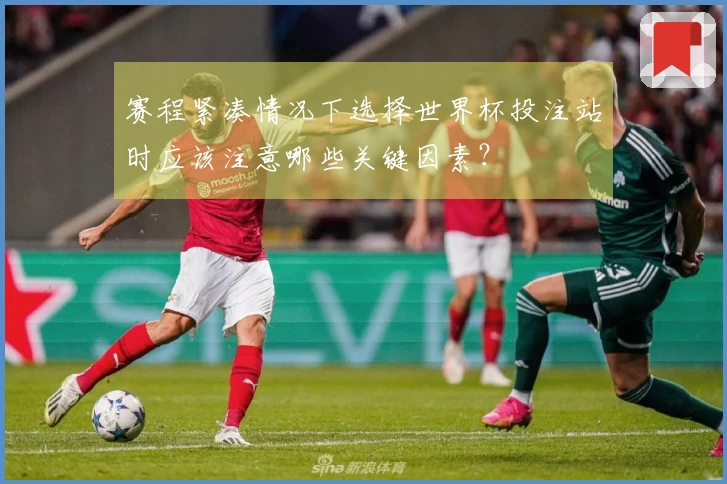 赛程紧凑情况下选择世界杯投注站时应该注意哪些关键因素？