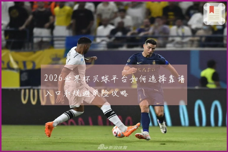 2026世界杯买球平台如何选择靠谱入口和规避风险攻略