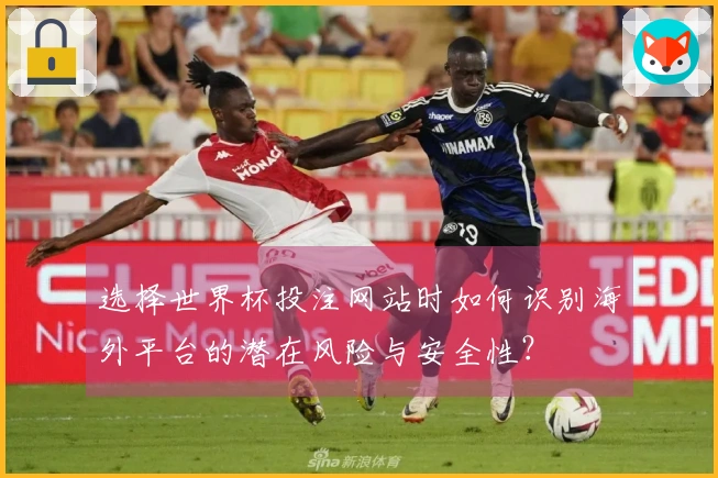 选择世界杯投注网站时如何识别海外平台的潜在风险与安全性？