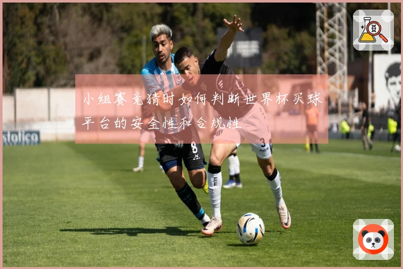 小组赛竞猜时如何判断世界杯买球平台的安全性和合规性