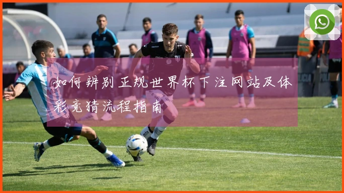 如何辨别正规世界杯下注网站及体彩竞猜流程指南