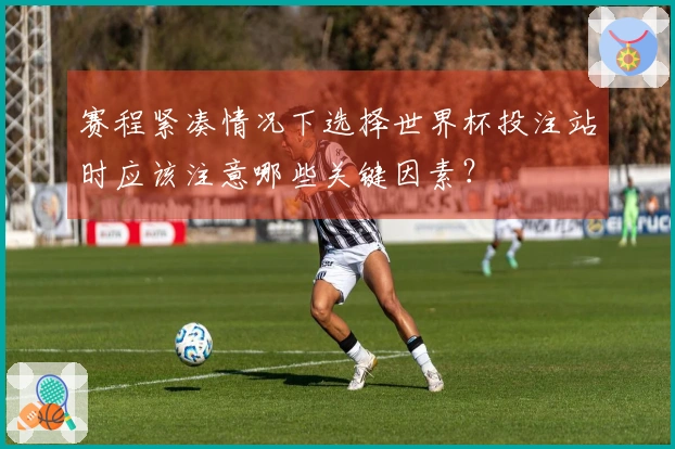 赛程紧凑情况下选择世界杯投注站时应该注意哪些关键因素？