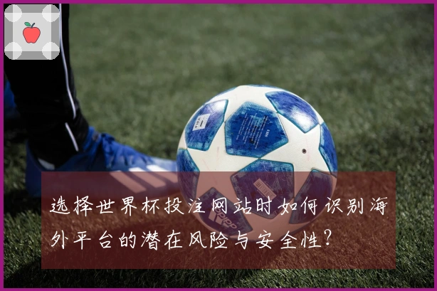选择世界杯投注网站时如何识别海外平台的潜在风险与安全性？