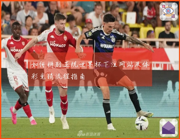 如何辨别正规世界杯下注网站及体彩竞猜流程指南