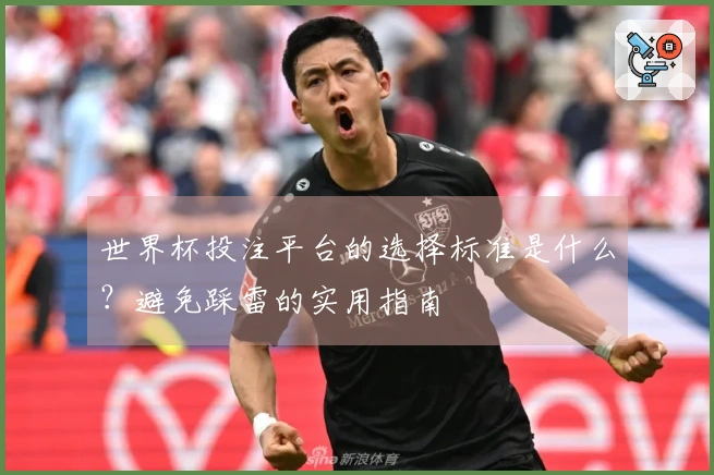 世界杯投注平台的选择标准是什么？避免踩雷的实用指南